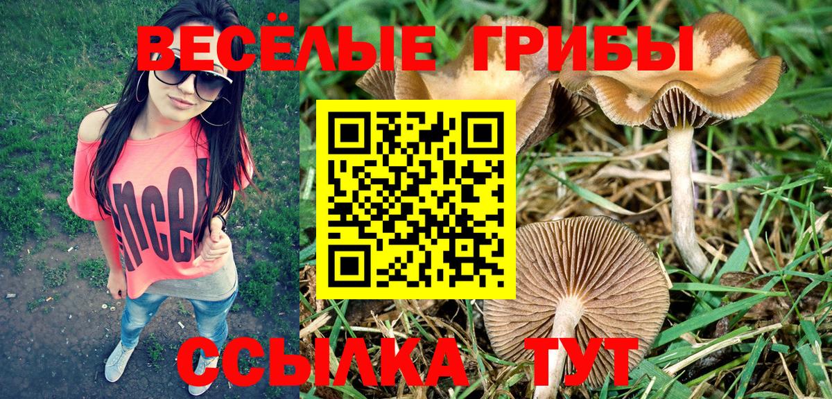 что такое наркотик  Псилоцибиновые грибы Psilocybine cubensis  Вход с VPN  Пенза  Галлюциногенные грибы Psilocybine cubensis 