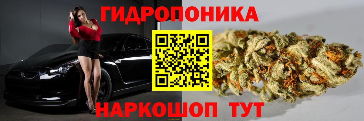Каннабис сатива Пенза